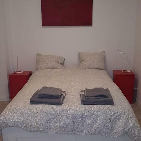 Central Appartment 2 Bedrooms بروكسل المظهر الخارجي الصورة